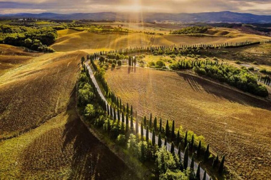 YOUR HONEYMOON IN TUSCANY: Private Chianti Wine Tasting Tour - Florence From Above: Piazzale Michelangelo at the Best Moment